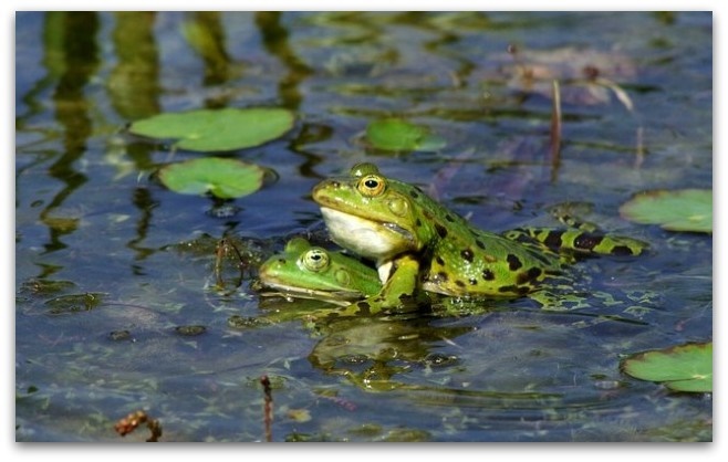 1. Бланко - Copy (97) - Copy - Copy - Copy - Copy - Copy - Copy - Copy - Copy