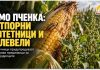 Научници предупредуваат на отпорни штетници и плевели поврзани со одгледувањето ГМО пченка