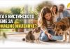 Кога е вистинското време за домашно милениче?