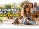 Кога е вистинското време за домашно милениче?