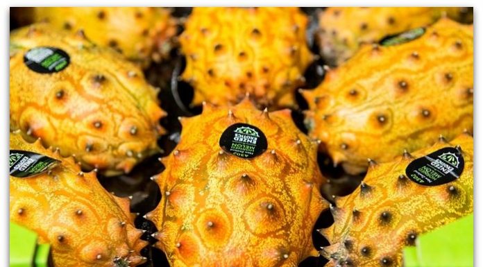 Како се јаде кивано?