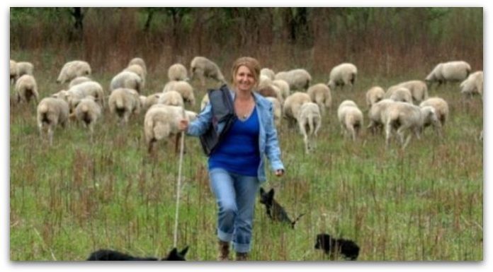Магистер по право одгледува 300 овци | Сакам да бидам свој газда!