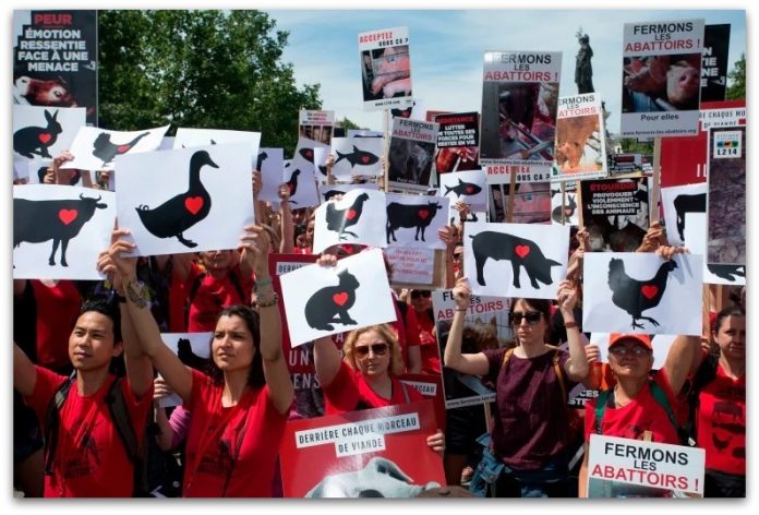 Месарниците во Франција побарале полициска заштита од насилните вегани