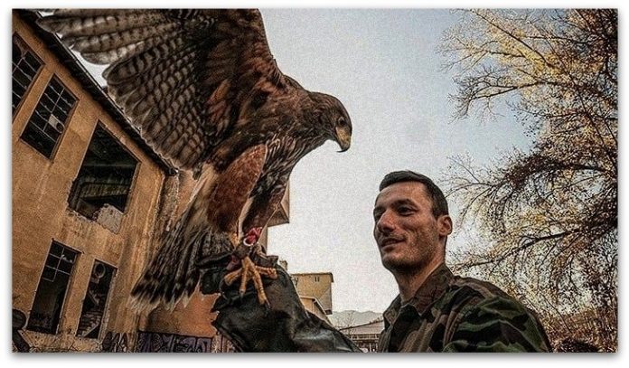 Сокол Поучна приказна