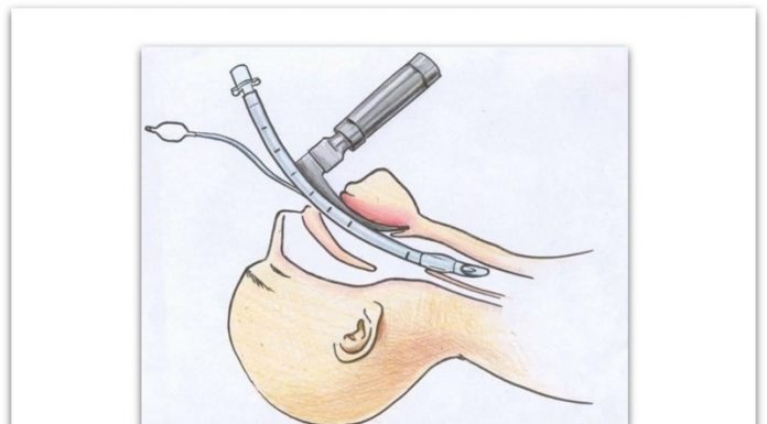 Марија Стојанова | “За сите тапоглави што плукаат по народот и го нарекуваат прост …”