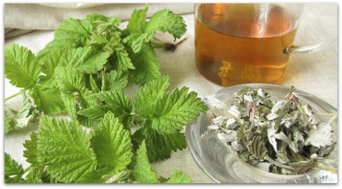 Природни лекови против алергии