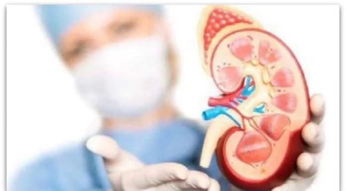 Често ги повторуваме овие навики кои можат да ги уништат бубрезите