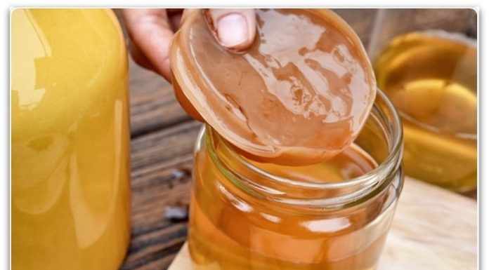 КОМБУХА – Јапонската кралица