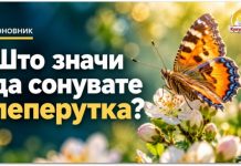 Што значи да сонувате пеперутка ? Симболика на љубов, радост и промени