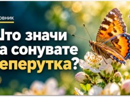 Што значи да сонувате пеперутка ? Симболика на љубов, радост и промени