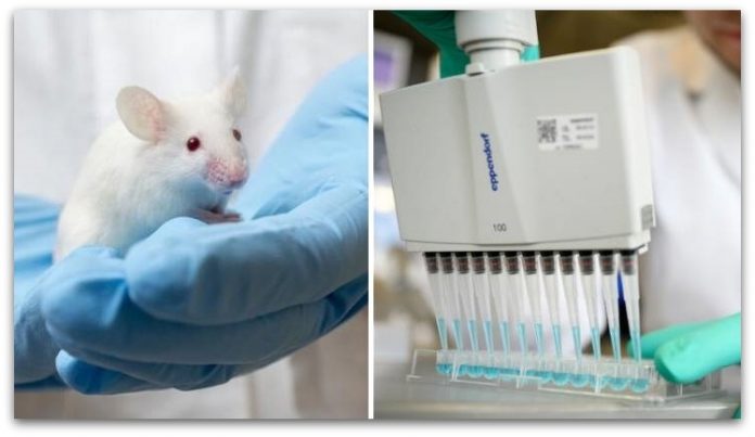 Случајно откритие