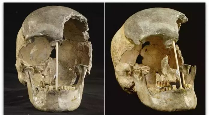 Истражувачите реконструираат ДНК на жена од пред повеќе од 45.000 години