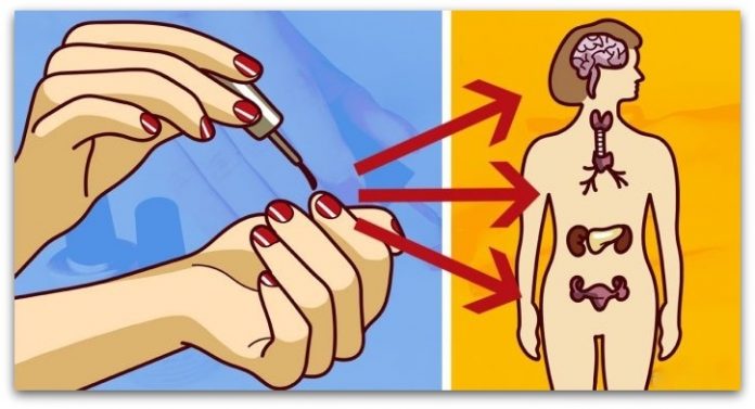 Што се случува во телото 10 часа откако ќе ставите лак за нокти