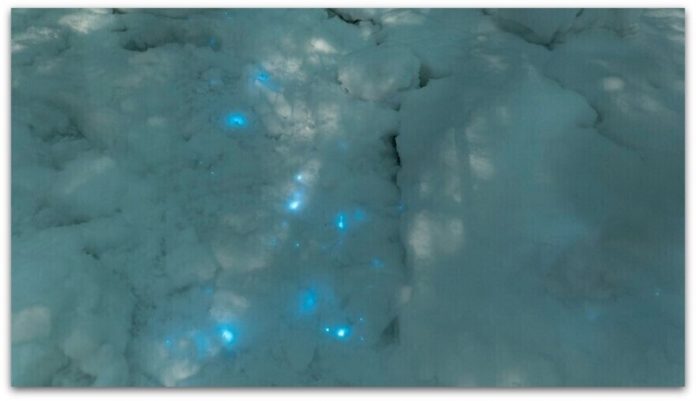 На Арктикот забележан СВЕТКАВ СНЕГ (ФОТО) (2)