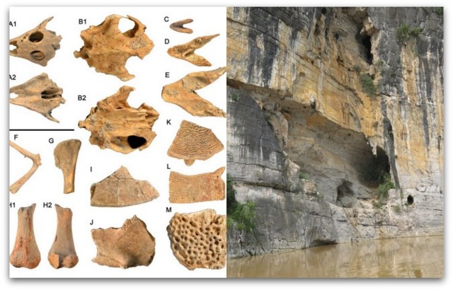 НЕВЕРОЈАТНО ОТКРИТИЕ НА ЈУГОТ НА КИНА