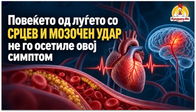 Повеќето од луѓето со срцев и мозочен удар