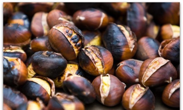 Зошто баш КОСТЕН ?