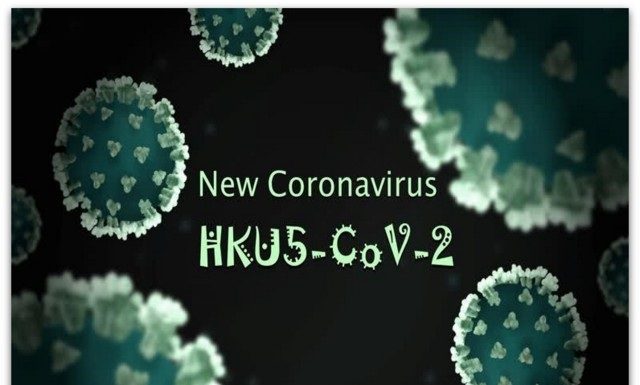 Научниците откриле вирус на лилјаци сличен на оној што предизвикува COVID-19