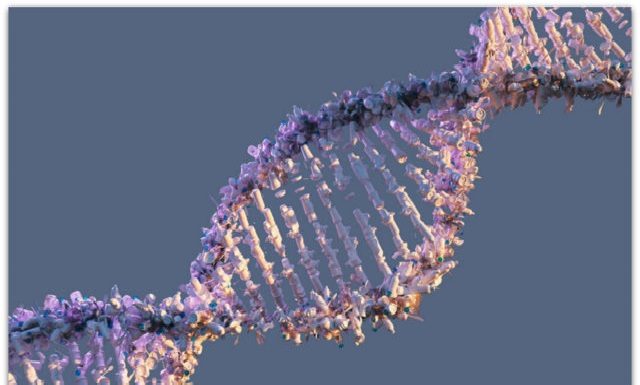 Древните вируси во нашата ДНК може да содржат индиции за тоа што нè прави луѓе