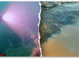 Дали ја пронајдовме изгубената Атлантида ? Овој истражувач тврди дека знае каде е ! Видео