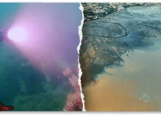 Дали ја пронајдовме изгубената Атлантида ? Овој истражувач тврди дека знае каде е ! Видео