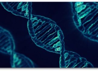 Откриена е точка на мутација во човечкиот геном