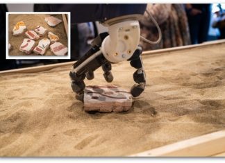 Роботите ги враќаат во живот фреските во Помпеја ! Видео