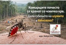 Зошто комарците сè почесто се хранат со човечка крв? Виновникот е човекот