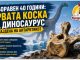 Заборавена коска 40 години | Откритие на Антарктикот