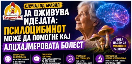 Случај од Бразил буди надеж ! Дали „магичните печурки“ би можеле да помогнат кај Алцхајмеровата болест?