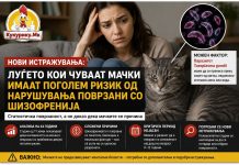 Луѓето кои чуваат мачки имаат поголем ризик од нарушувања поврзани со шизофренија, покажува анализа
