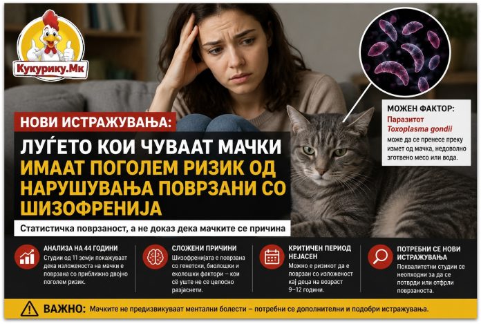 Луѓето кои чуваат мачки имаат поголем ризик од нарушувања поврзани со шизофренија