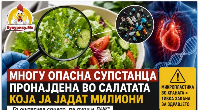 Научниците предупредуваат ! Микропластика е пронајдена и во зелената салата, можна закана за срцето и ДНК