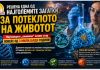 Една од најголемите мистерии за потеклото на животот доби ново објаснување
