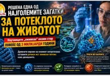 Една од најголемите мистерии за потеклото на животот доби ново објаснување