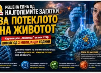 Една од најголемите мистерии за потеклото на животот доби ново објаснување