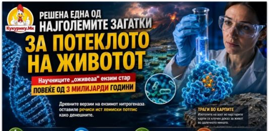 Една од најголемите мистерии за потеклото на животот доби ново објаснување
