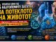 Една од најголемите мистерии за потеклото на животот доби ново објаснување