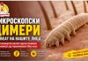 Микроскопски „цимери“ живеат на нашите лица ! Научниците велат дека повеќе не можат да преживеат без луѓето