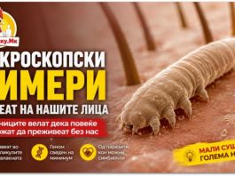Микроскопски „цимери“ живеат на нашите лица ! Научниците велат дека повеќе не можат да преживеат без луѓето