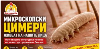 Микроскопски „цимери“ живеат на нашите лица ! Научниците велат дека повеќе не можат да преживеат без луѓето