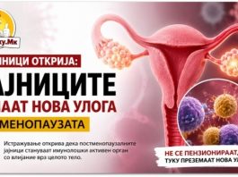 Научници открија неочекувана улога на јајниците по менопаузата