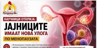 Научници открија неочекувана улога на јајниците по менопаузата