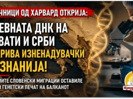 Научниците од Харвард споредуваат древната ДНК на Хрватите и Србите ! Тие дојдоа до зачудувачко откритие