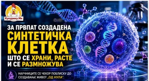 За првпат создадена синтетичка клетка што се храни, расте и се размножува ! „Дали е жива? Можеби“