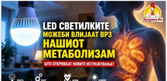 LED светилките можеби влијаат врз метаболизмот ! Што откриваат новите истражувања?