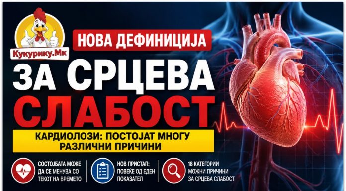 Нова дефиниција за срцева слабост ! Кардиолозите откриваат зошто причините се многу различни