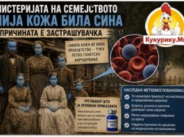 СЕМЕЈСТВОТО СО „СИНА КОЖА“ СО ГОДИНИ БИЛО МИСТЕРИЈА ! НАУКАТА КОНЕЧНО ГО ОТКРИ ОДГОВОРОТ