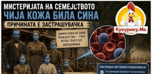 СЕМЕЈСТВОТО СО „СИНА КОЖА“ СО ГОДИНИ БИЛО МИСТЕРИЈА ! НАУКАТА КОНЕЧНО ГО ОТКРИ ОДГОВОРОТ