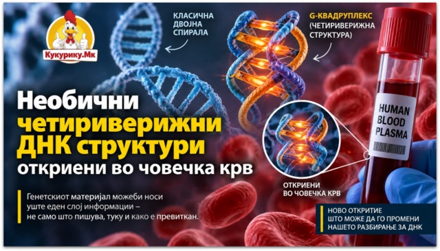 ДНК не е секогаш двојна спирала